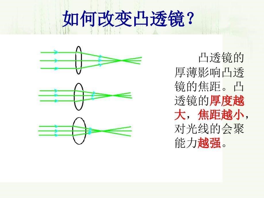 《眼睛和眼镜》课件1_第5页