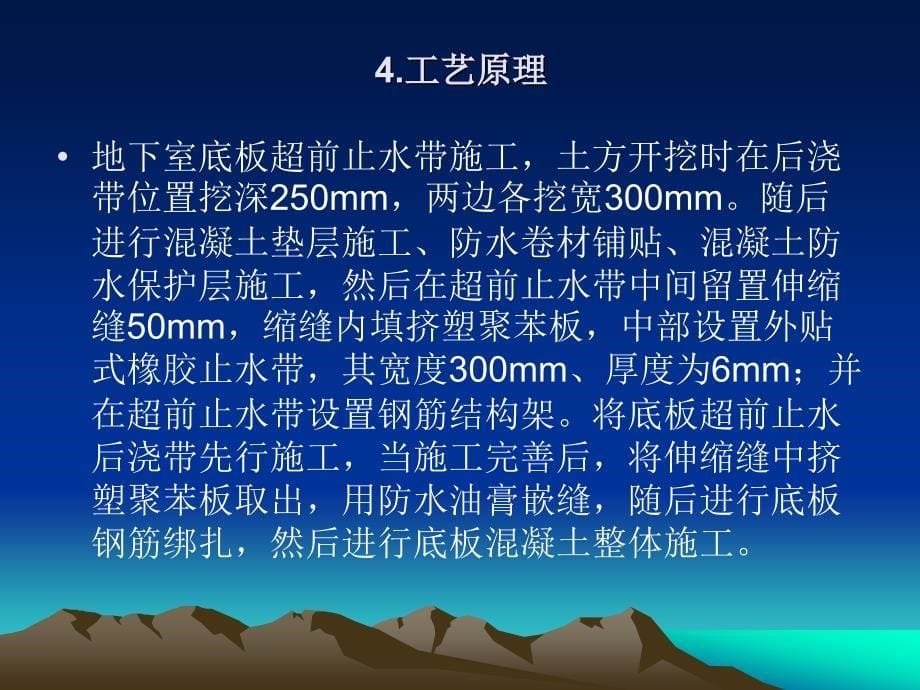 后浇带超前止水构造施工工法展示_第5页