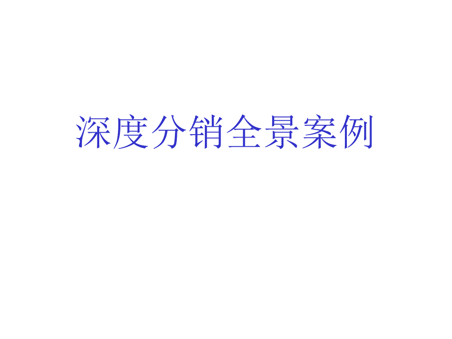 深度分销全景案例_第1页