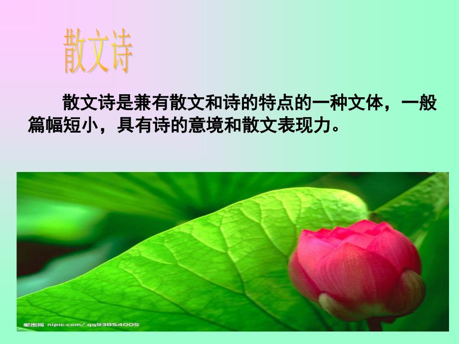 《荷叶母亲公开》PPT课件.ppt_第2页