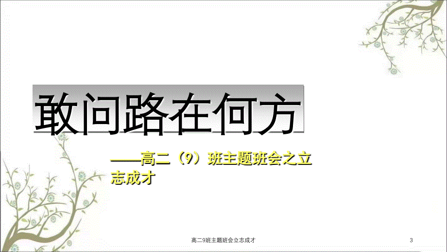 高二9班主题班会立志成才课件_第3页