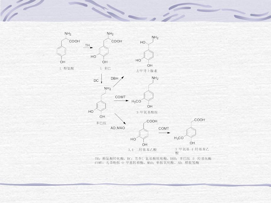 神经退行性疾病治疗药物_第4页