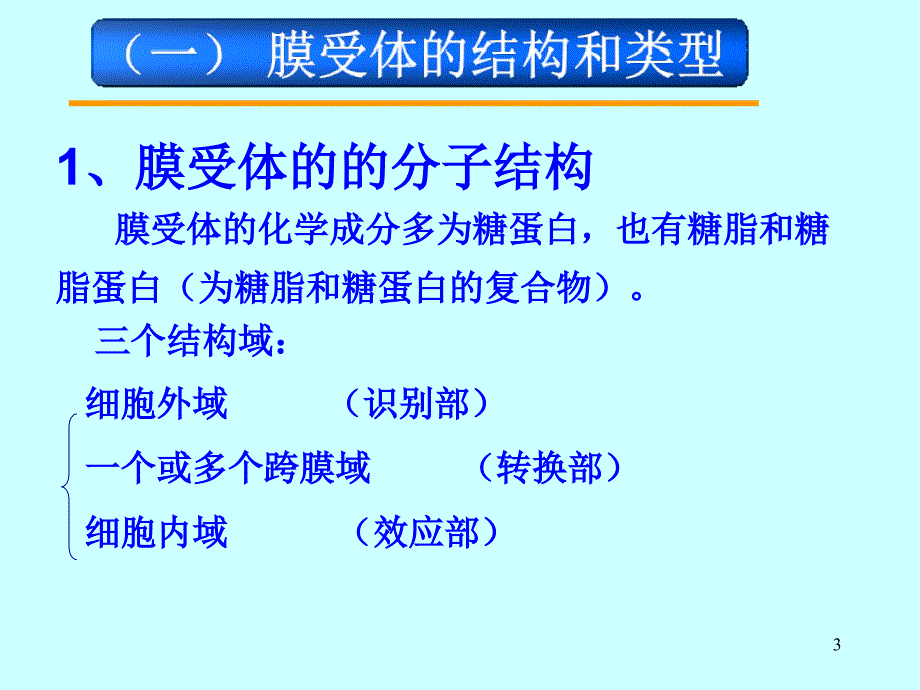 54-膜受体与细胞识别课稿_第3页