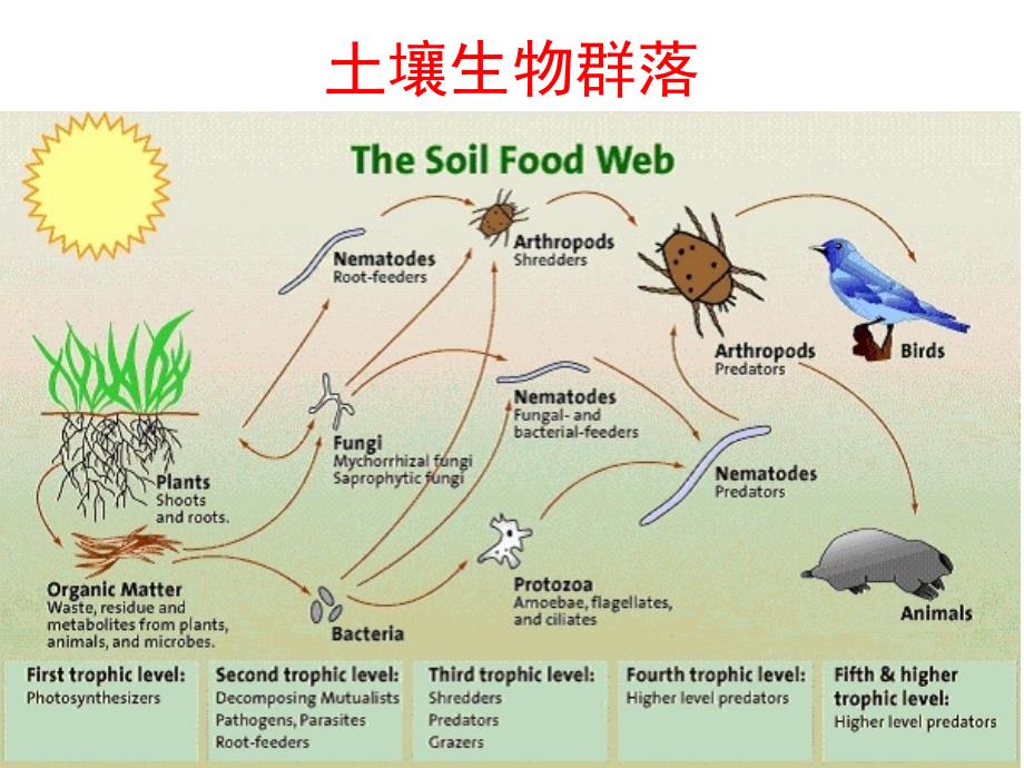 农业生态学4群落pp课件_第3页