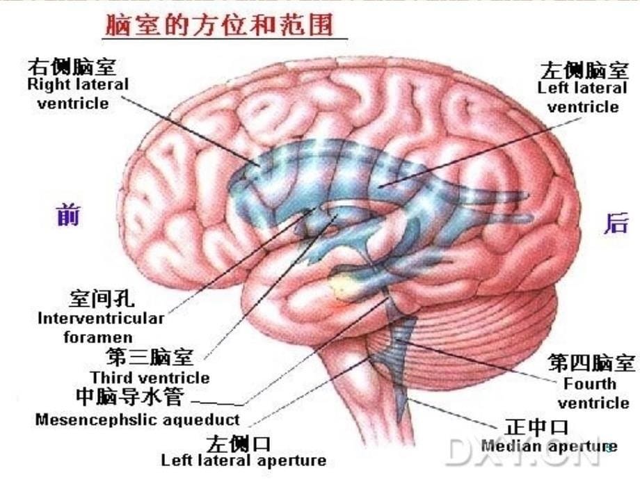 神经外科各种引流管的护理PPT演示课件_第5页