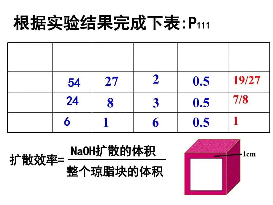 细胞增殖课件经典_第5页