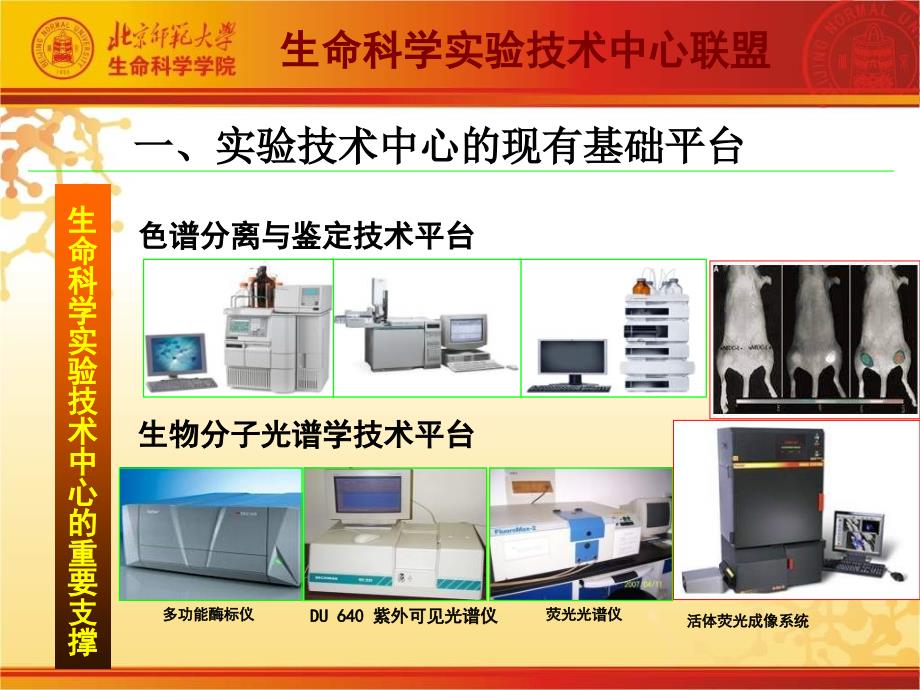 生命科学实验技术中心_第2页