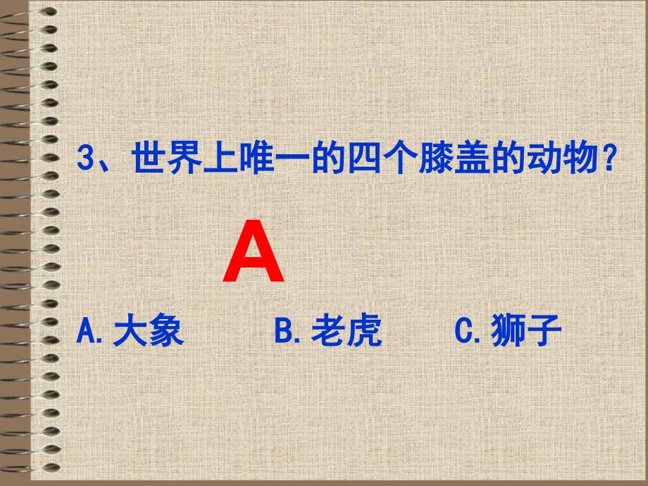 小学生趣味科学知识竞赛.PPT_第4页