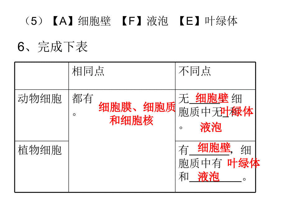 第二、三节观察动植物细胞_第3页