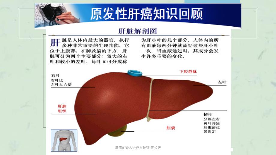 肝癌的介入治疗与护理 正式版课件_第3页