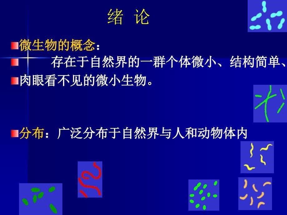 董海艳医学微生物学第1章细菌形态与结构_第5页