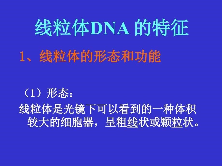 医学遗传与胚胎发育ppt13 线粒体基因病英语_第5页