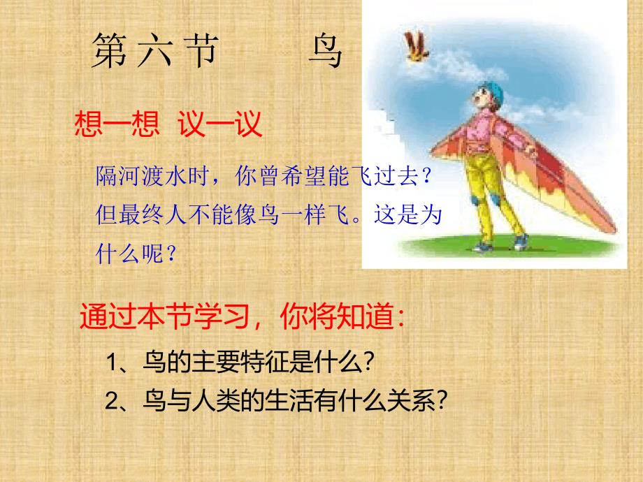 新人教版八年级生物鸟精编版_第1页