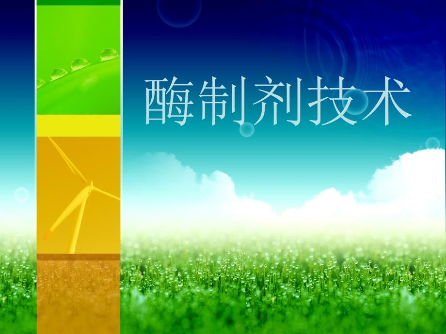 《酶制剂的应用》PPT课件_第1页