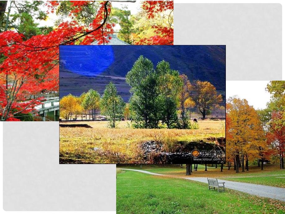 二年级语文上册 天课件4 语文S版_第1页