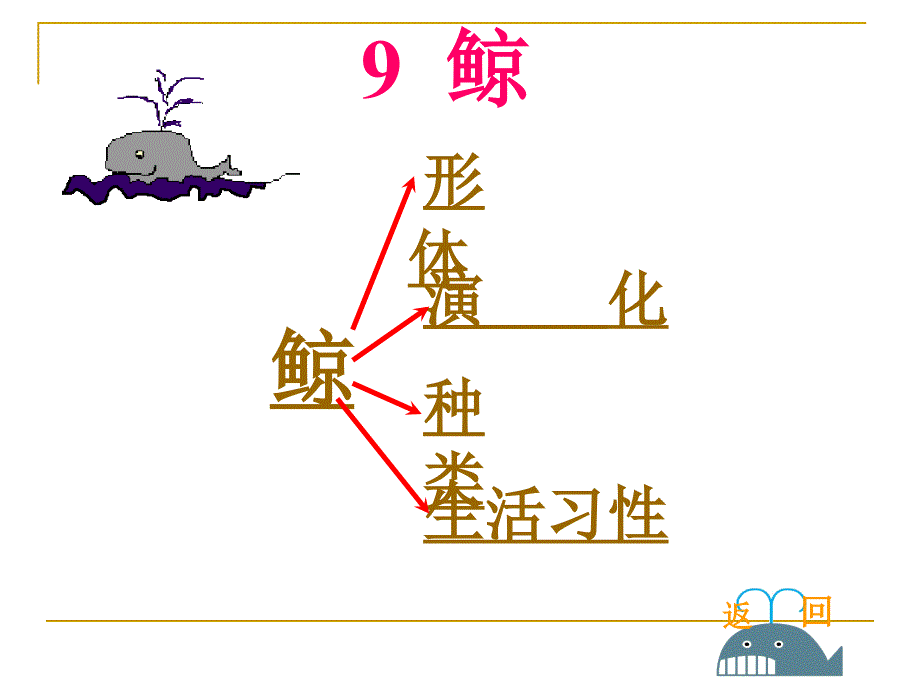 人教版五年级语文上册第三组《09鲸》PPT课件_第2页