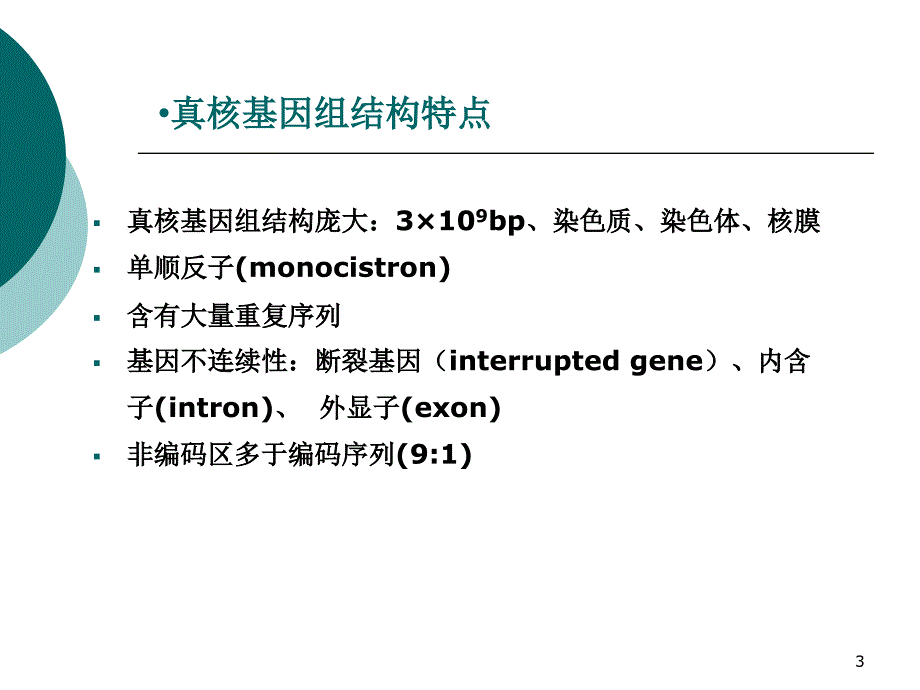 真核生物的基因表达调控PowerPoint 演示文稿_第3页