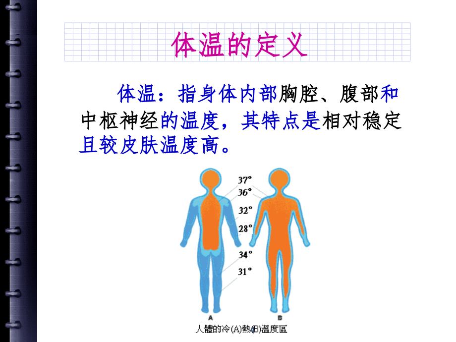 生命体征的观察及护理PPT精品文档_第4页