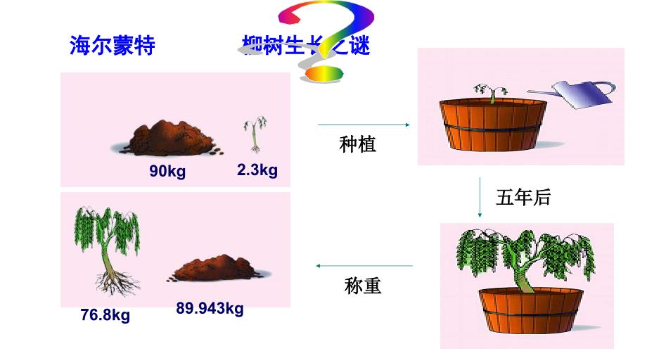 光合作用第一课时课件_第2页