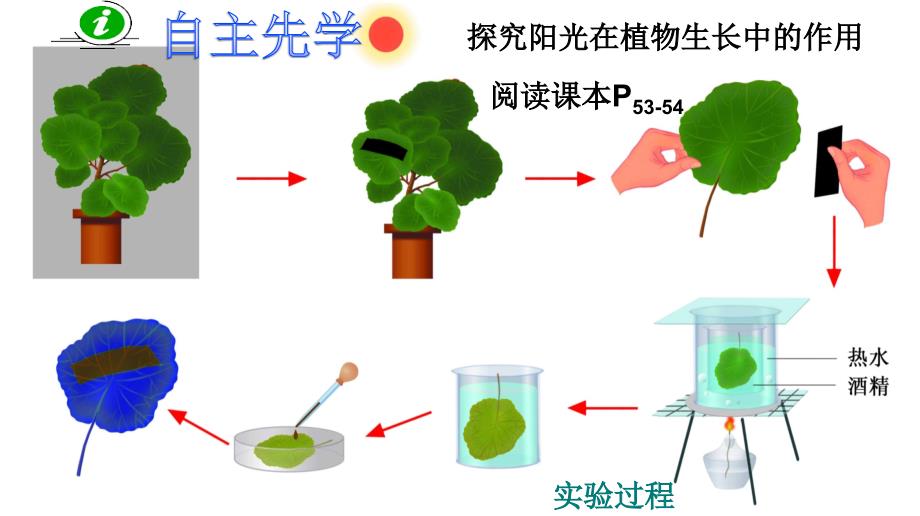 光合作用第一课时课件_第3页