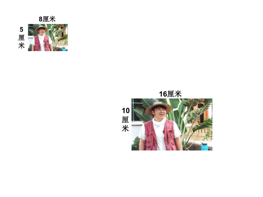 苏教版小学六年级数学下册图形的放大与缩小课件_第3页