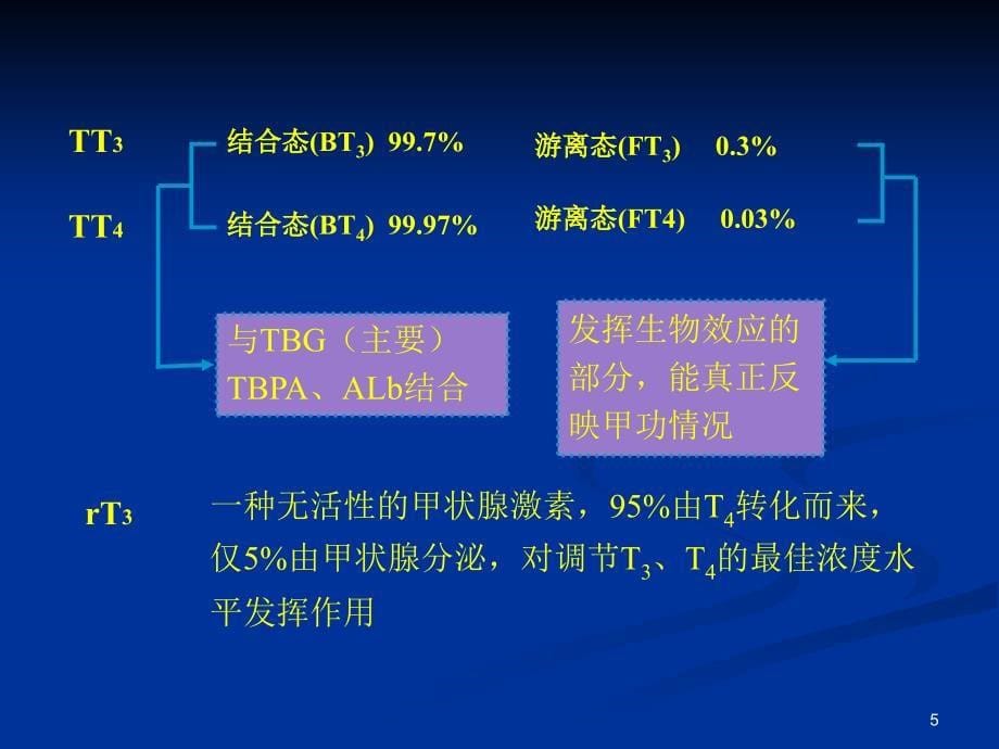 内分泌.ppt93文档资料_第5页