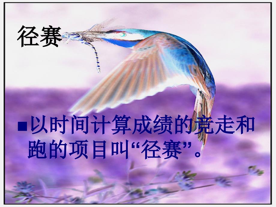 认识体育场地与器材.ppt_第3页