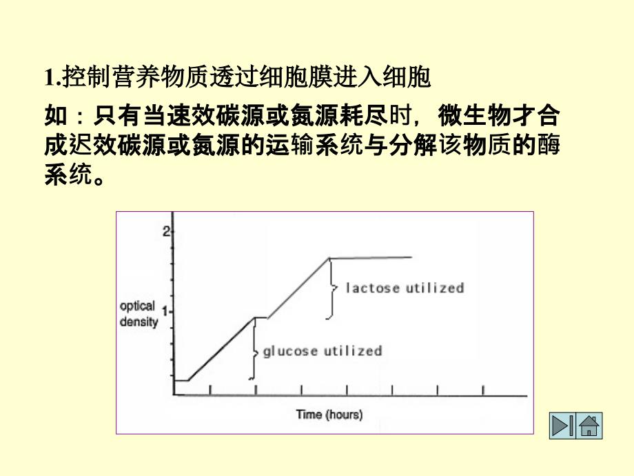 微生物的代谢调控与发酵生产_第4页