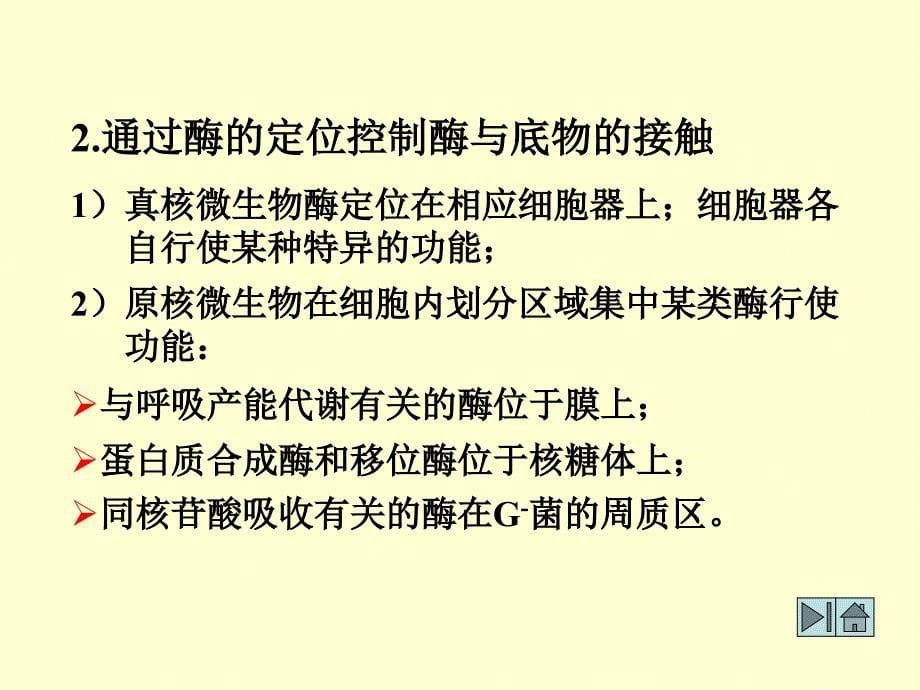 微生物的代谢调控与发酵生产_第5页