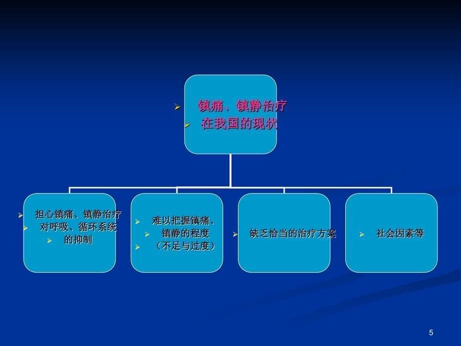 （优质课件）危重病人的镇痛与镇静_第5页