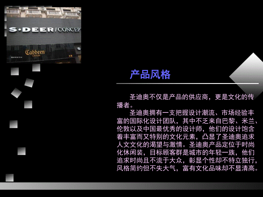 圣迪奥品牌宣传手册.ppt_第3页