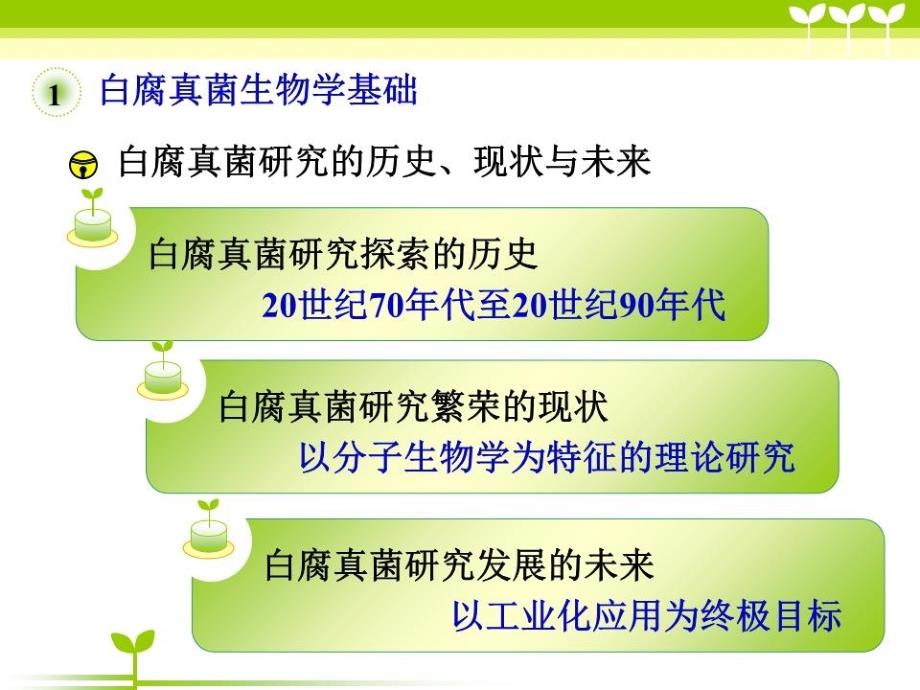 白腐真菌生物技术与应用.ppt_第4页