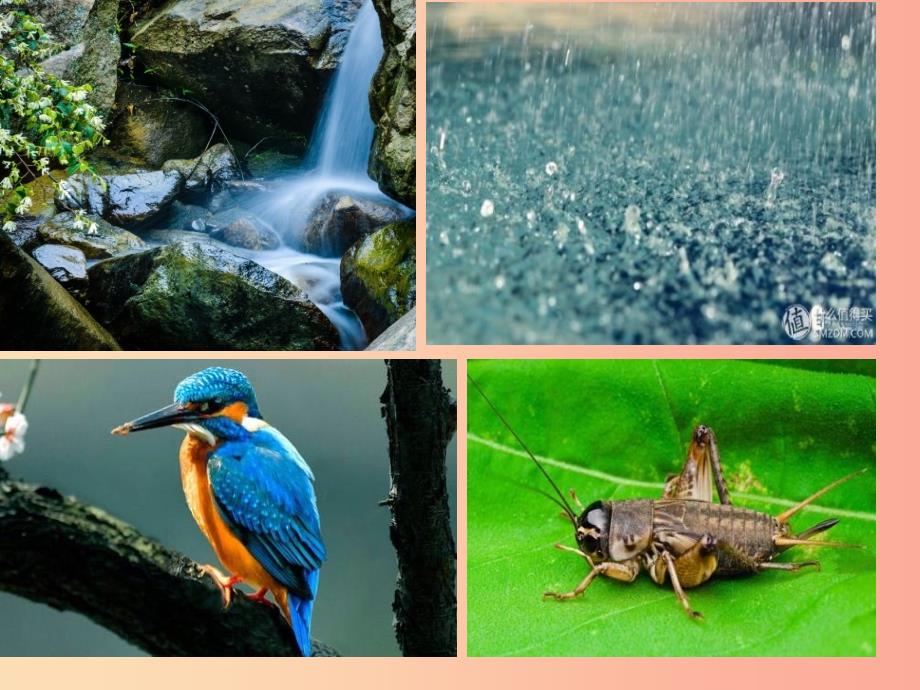 三年级语文上册 第二单元 7《听听秋的声音》课件 新人教版_第1页