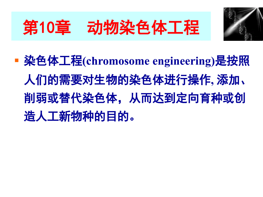 动物染色体工程_第1页