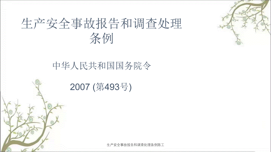 生产安全事故报告和调查处理条例陈工PPT课件_第1页