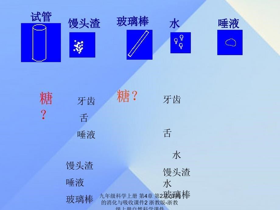 最新九年级科学上册第4章第2节食物的消化与吸收课件2浙教版浙教级上册自然科学课件_第5页