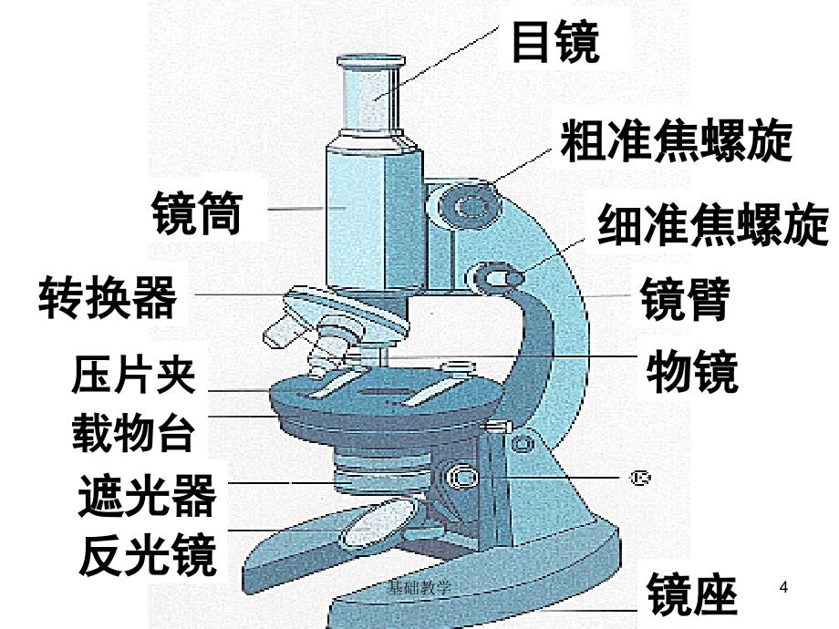 生物必修一知识点向阳教学_第4页