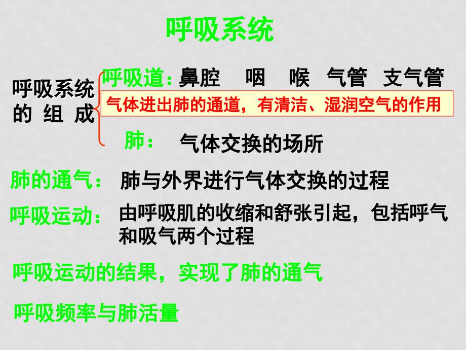 七年级生物下册：第四单元第三章第二节发生在肺内的气体交换4课件 人教版_第1页