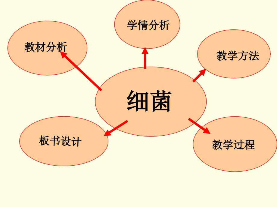 细菌说课课件_第2页