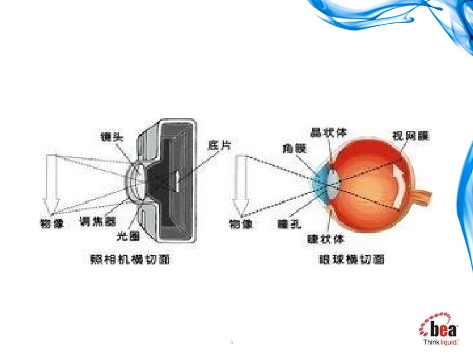 眼科护理知识点ppt课件_第3页