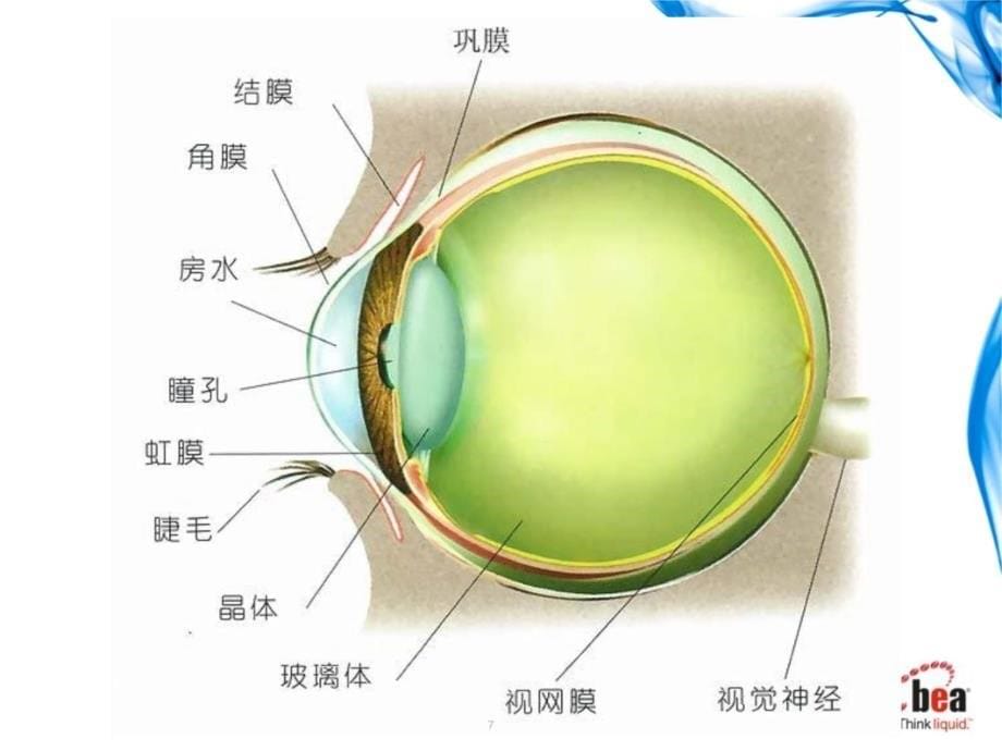 眼科护理知识点ppt课件_第5页