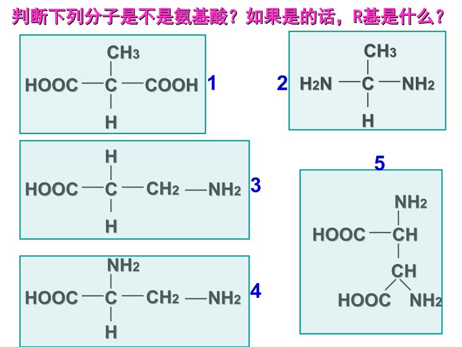 生命活动主要的承担者-蛋白质.ppt_第4页