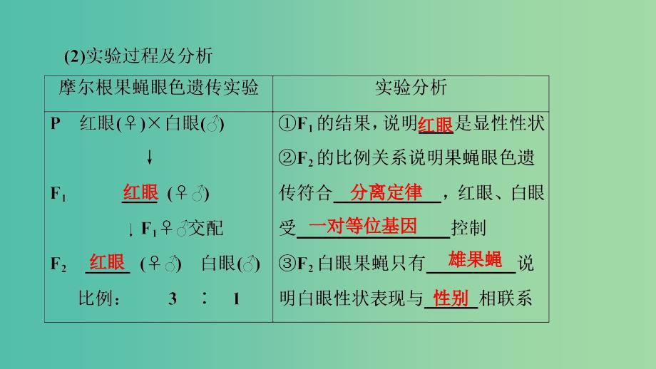 高考生物大一轮复习第六单元遗传基本规律与伴性遗传第3讲基因在染色体上伴性遗传及人类遗传参件.ppt_第4页