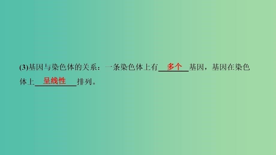 高考生物大一轮复习第六单元遗传基本规律与伴性遗传第3讲基因在染色体上伴性遗传及人类遗传参件.ppt_第5页