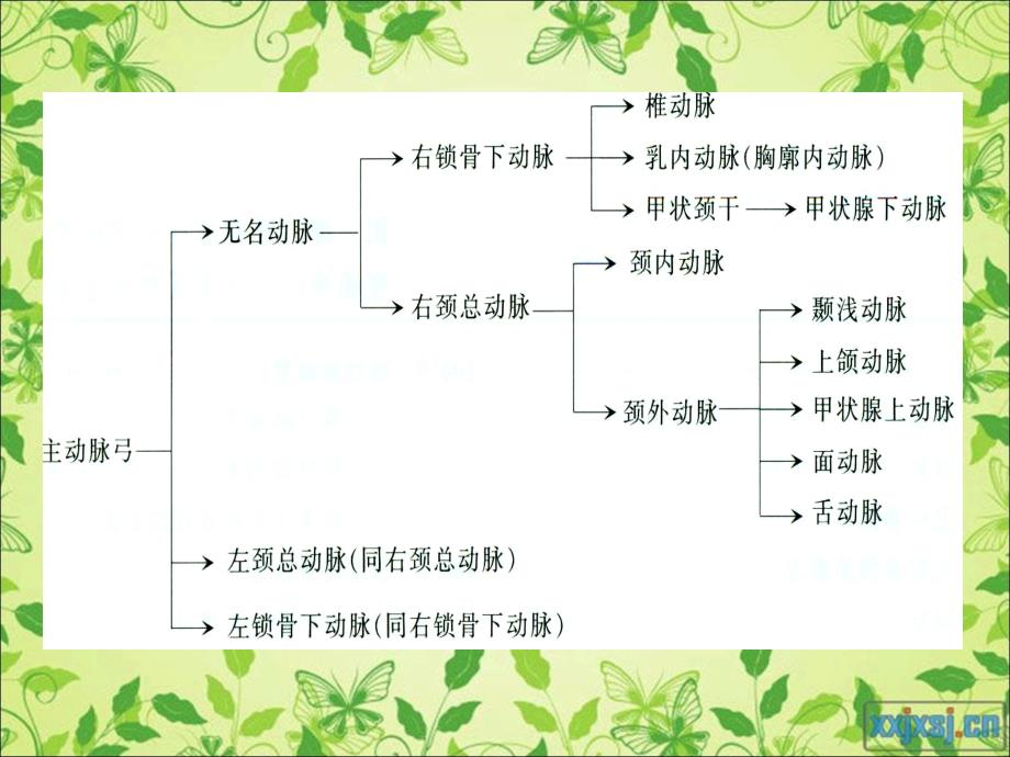 颈部血管超声检查及诊断标准_第3页