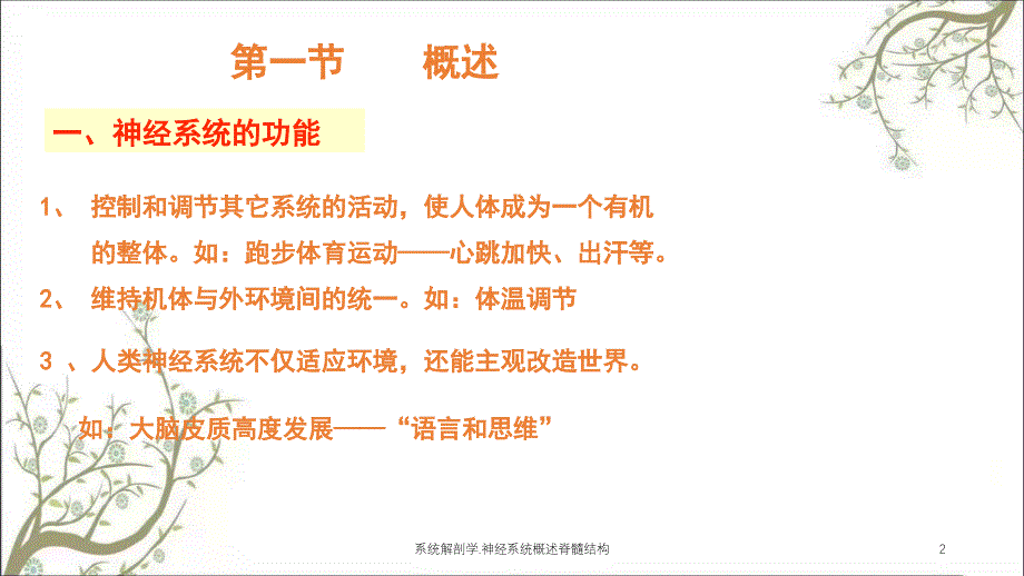 系统解剖学.神经系统概述脊髓结构课件_第2页