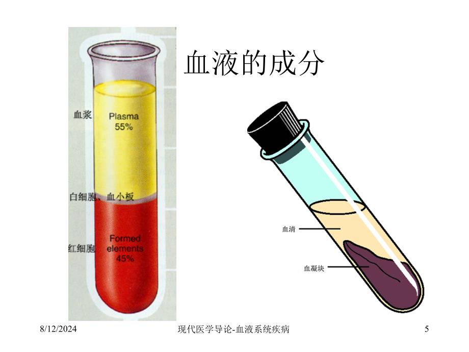 现代医学导论(血液系统)_第4页