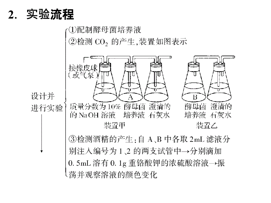 政史地：必修一 - ATP的主要来源—细胞呼吸_第4页