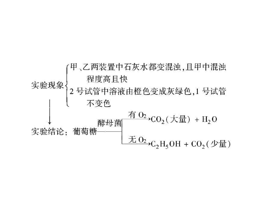 政史地：必修一 - ATP的主要来源—细胞呼吸_第5页