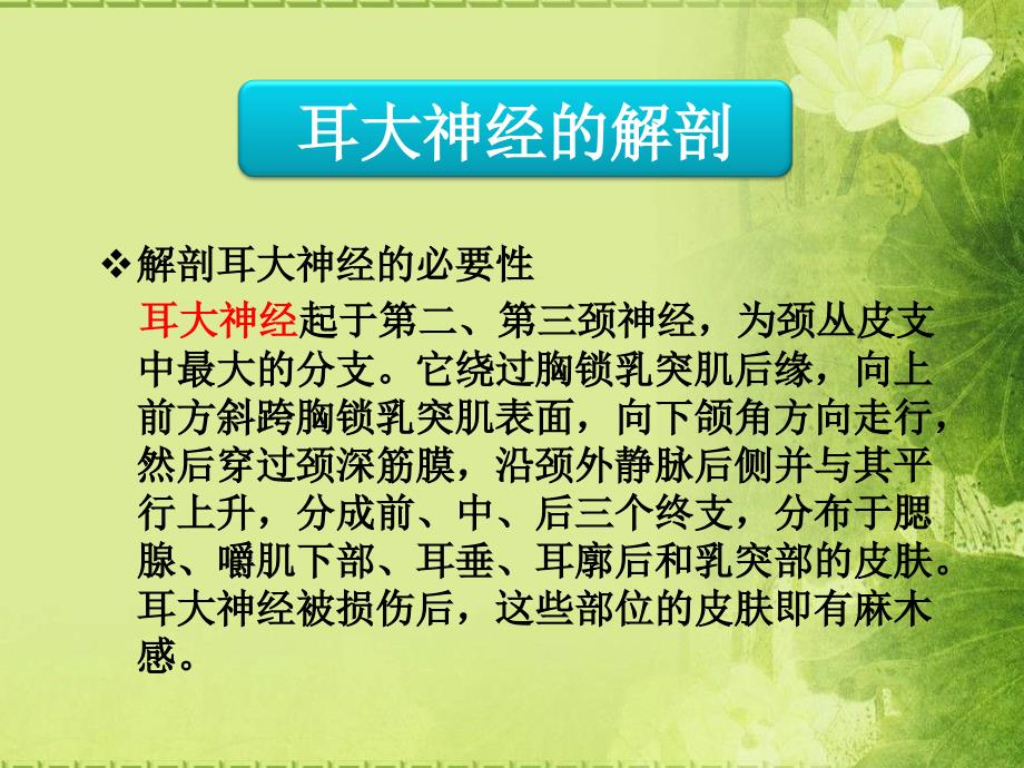 腮腺手术中耳大神经和面神经总干解剖经验分享_第4页